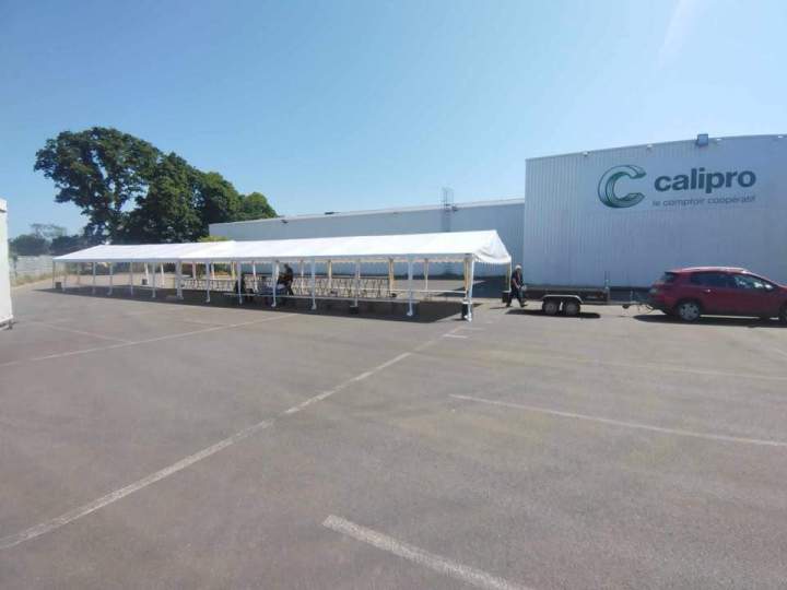 505389631 1664111287549307 4119665001719184596 n